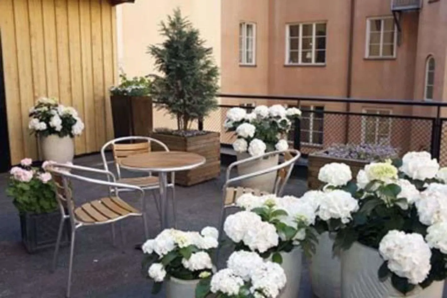 Clarion Collection Hotel Wellington Terrasse