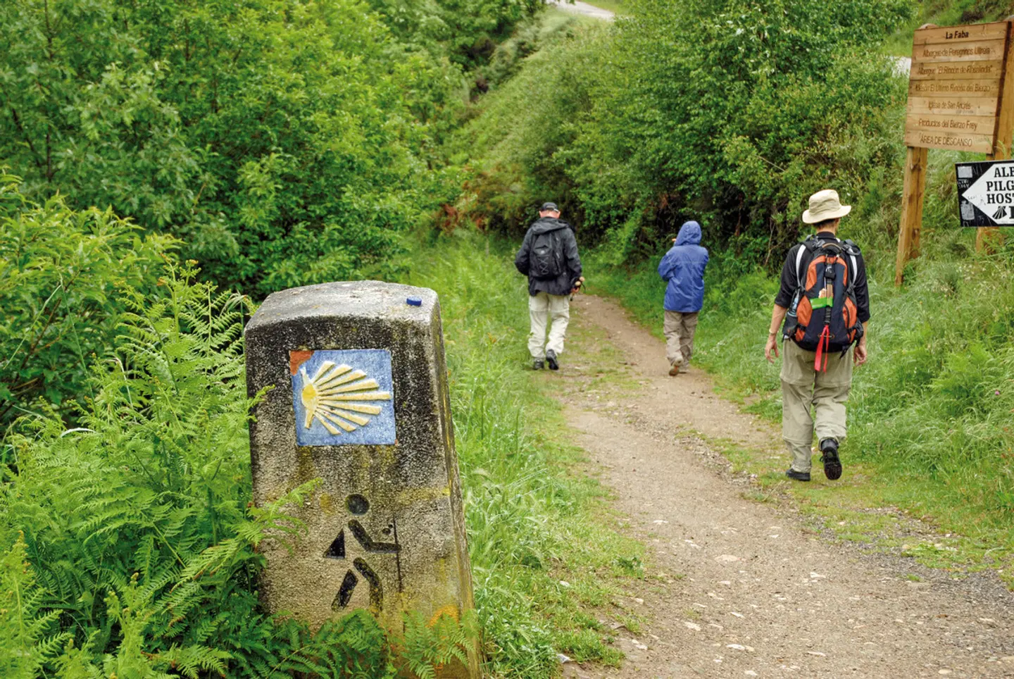 Wandern auf dem Jakobsweg - Die portugiesische Route Garten
