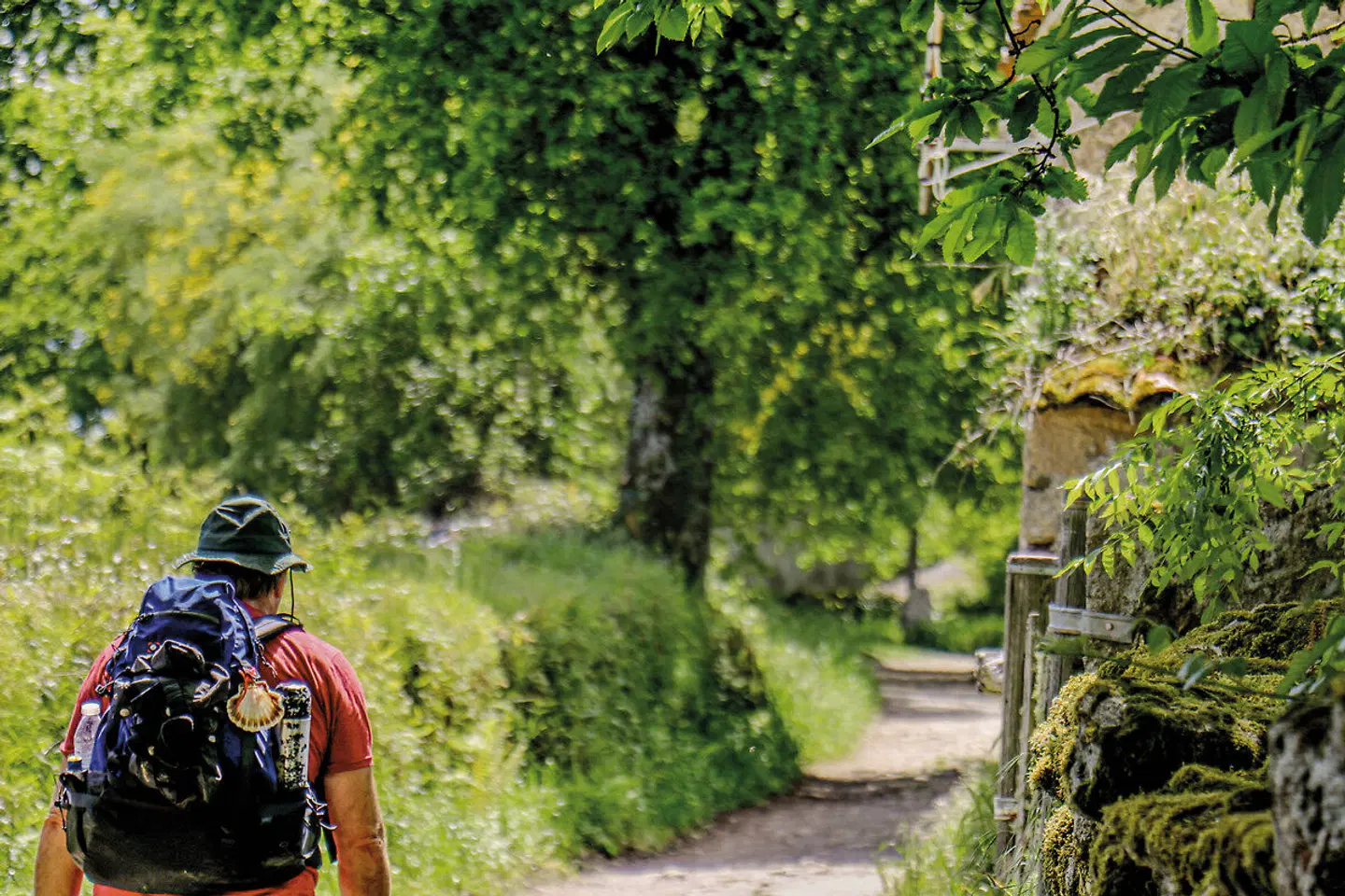 Wandern auf dem Jakobsweg - Die portugiesische Route Garten