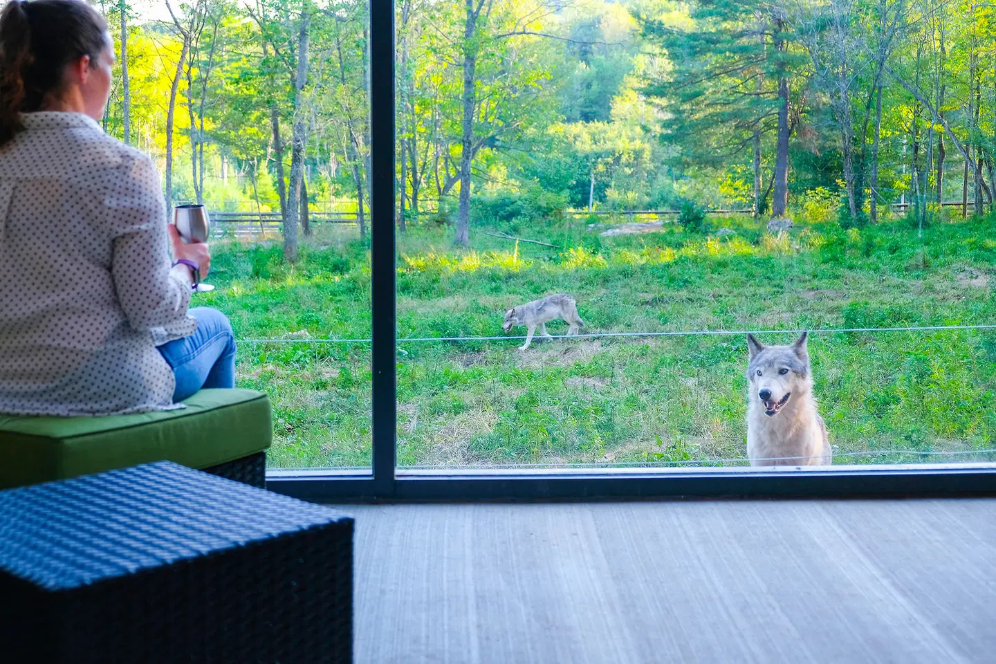 Parc Omega Terrasse