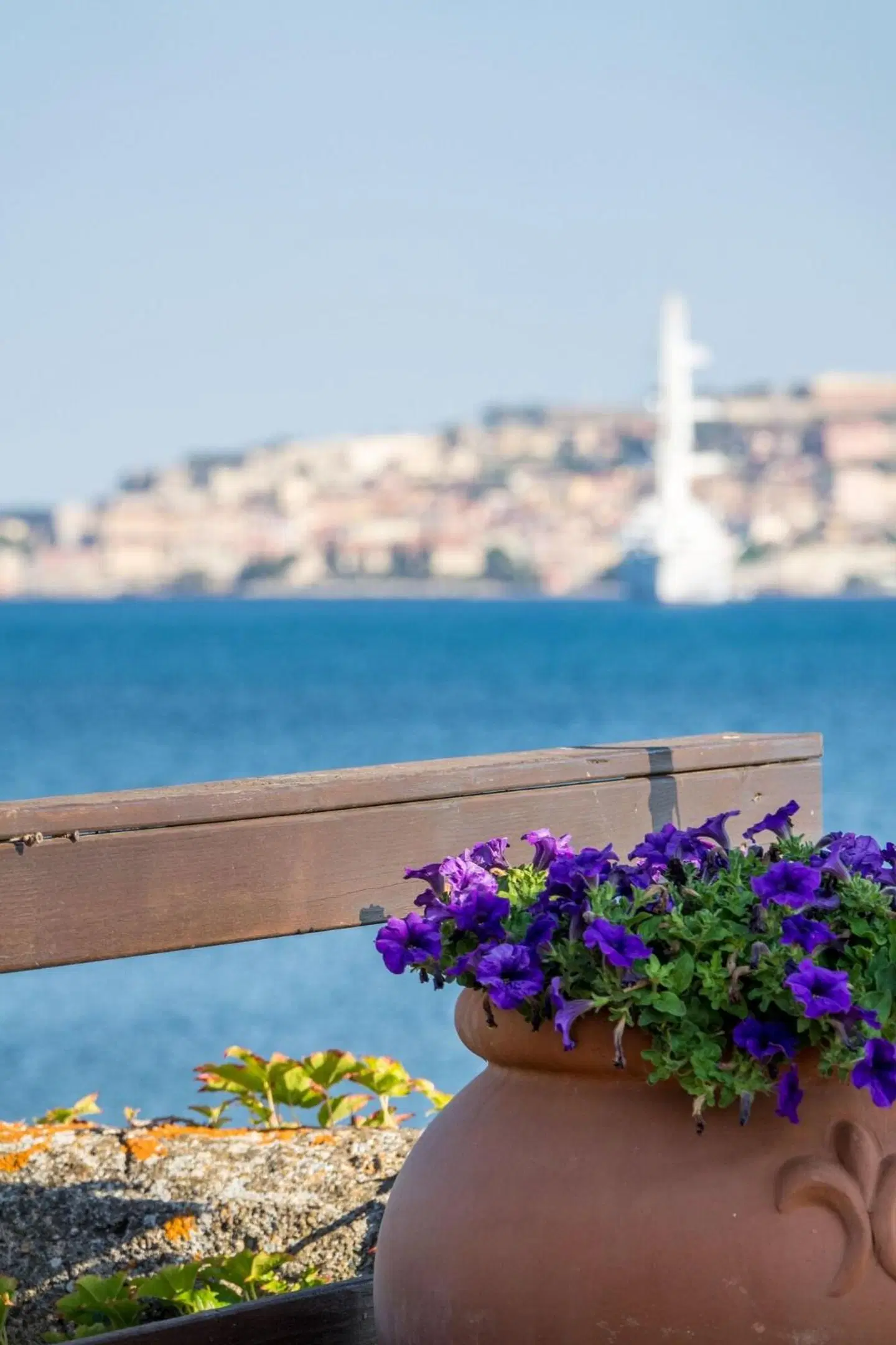Fabricia Terrasse