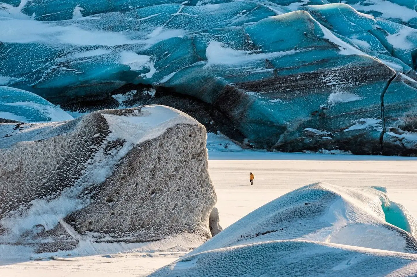 Winterabenteuer an Islands Südküste Tiere