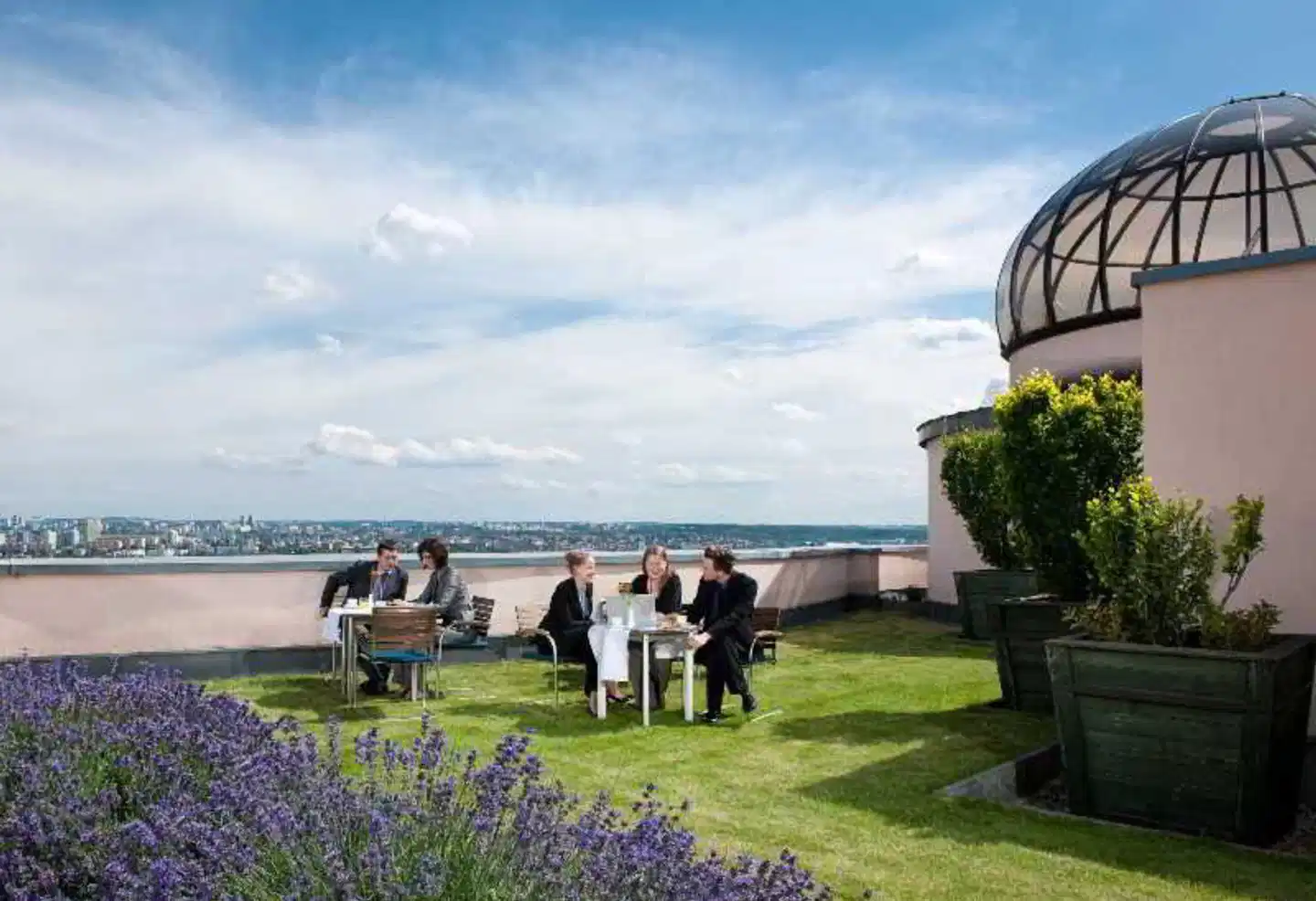 Don Giovanni Prague Tiere