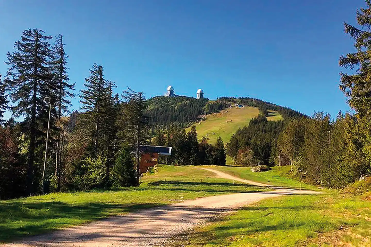 Das Waldkönig Sport und Entertainment