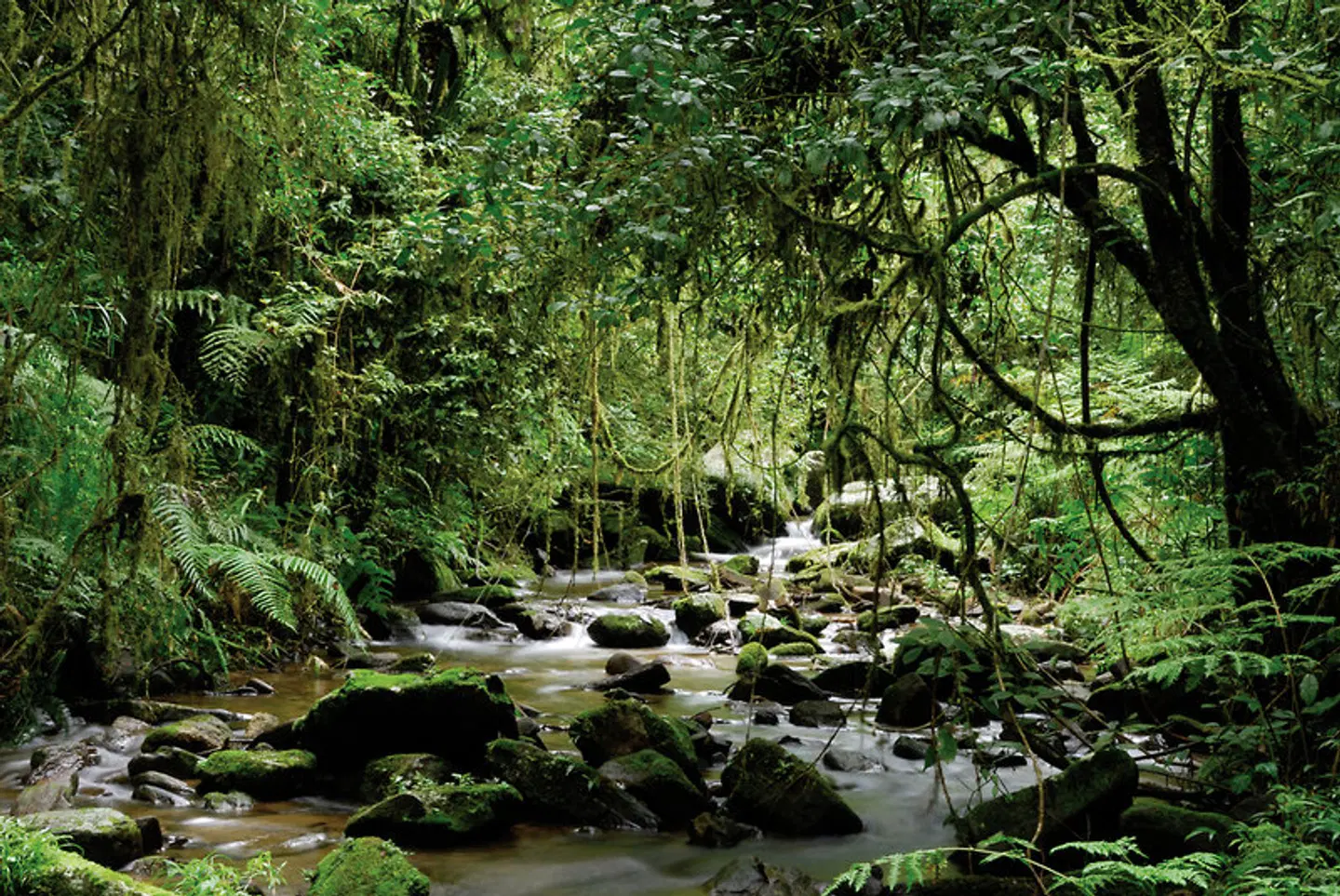 Madagaskar Rundreise LANDSCAPE