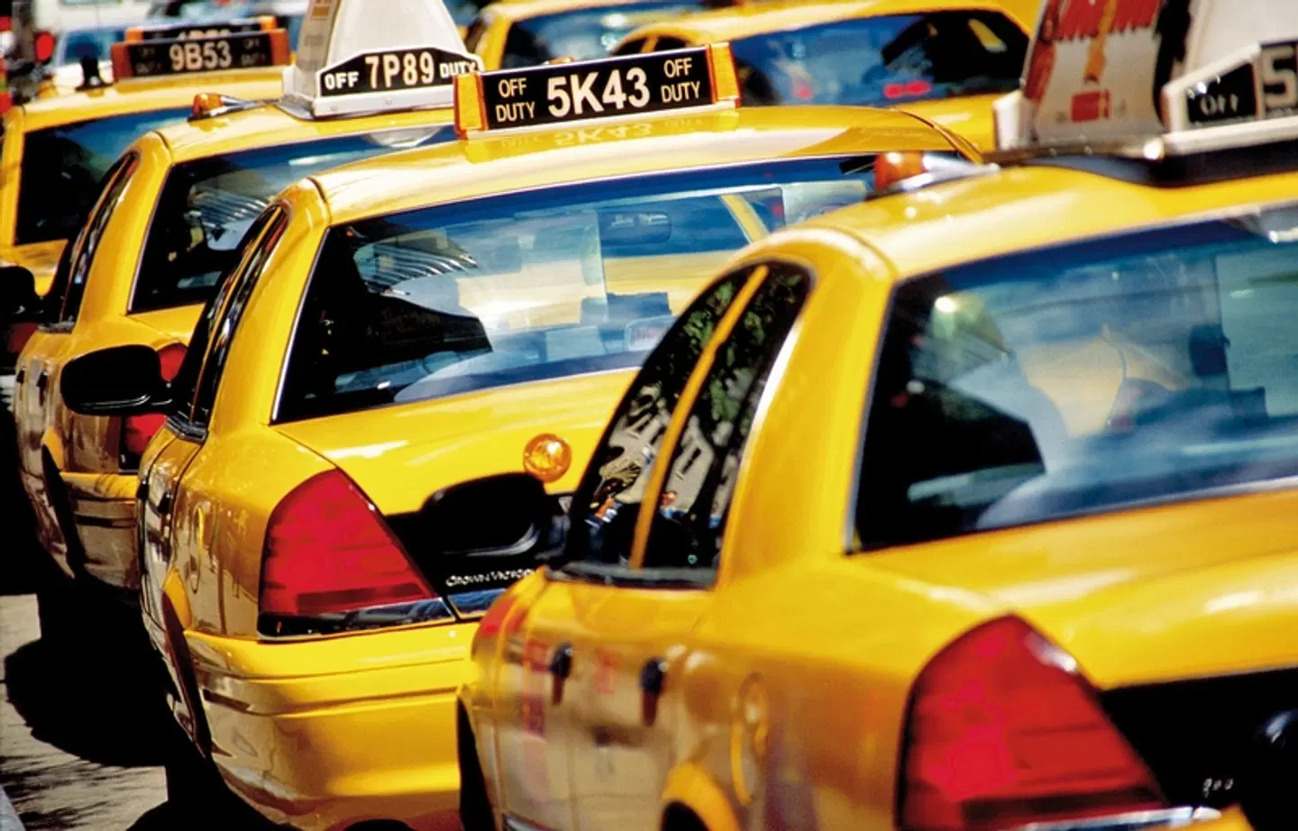 New York & Karibik SPORTS_AND_LEISURE