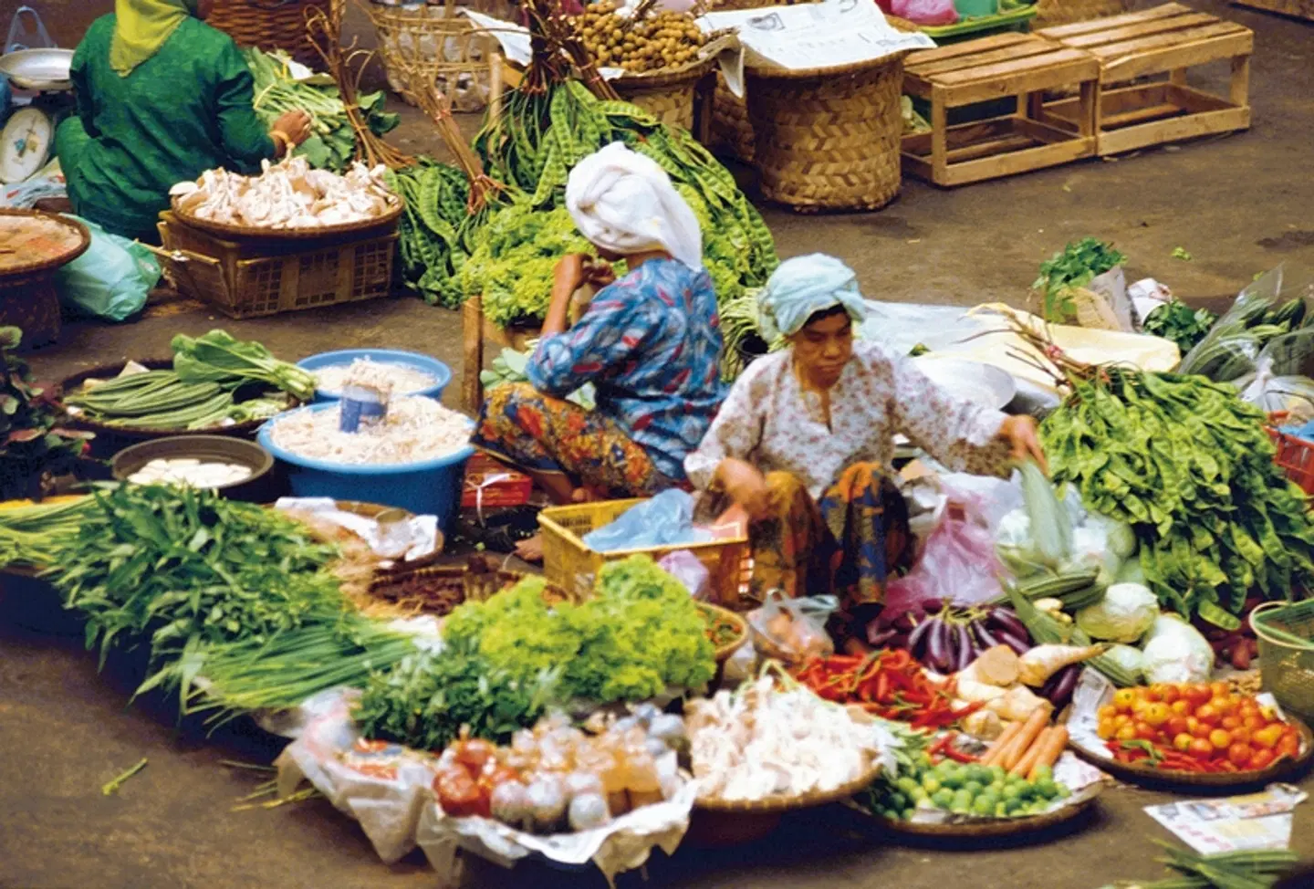 Malaysia Rundreisen & Baden Garten