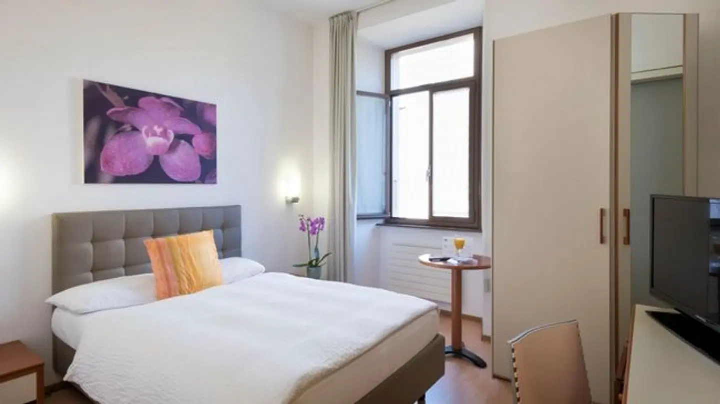 Zurigo ROOM_EXAMPLE