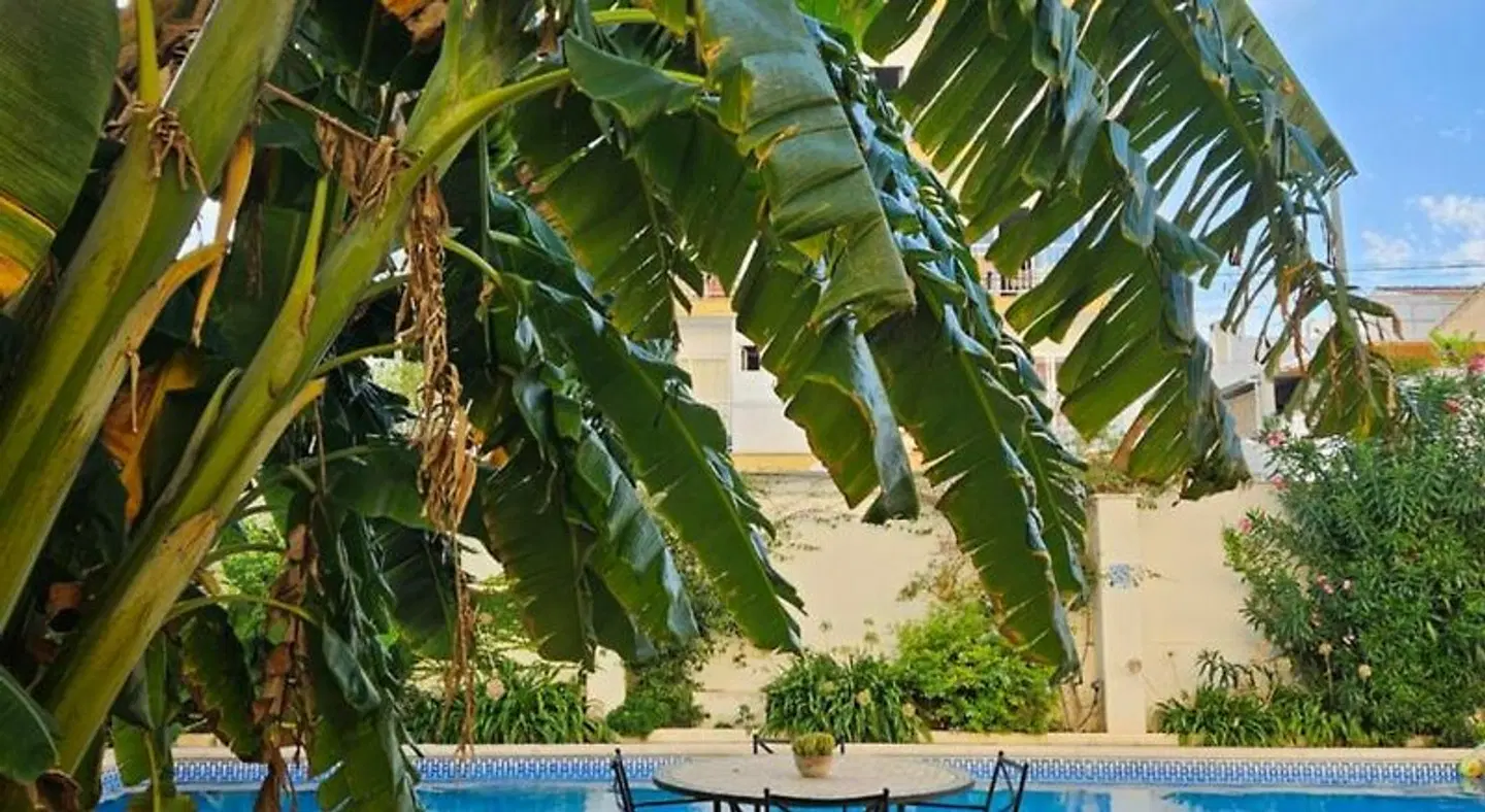 Mamboo OUTDOOR_POOL