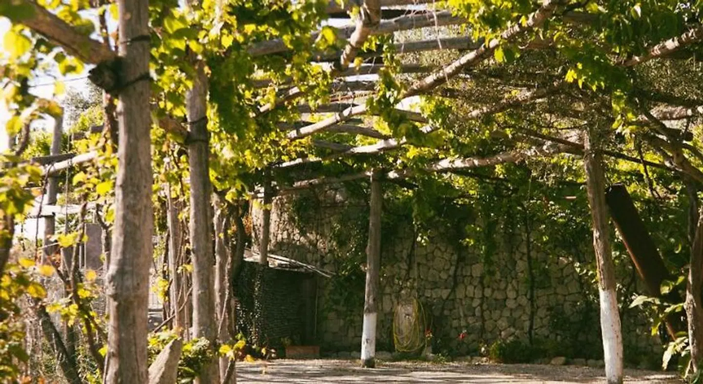 Villa Cimmentorosso Garten