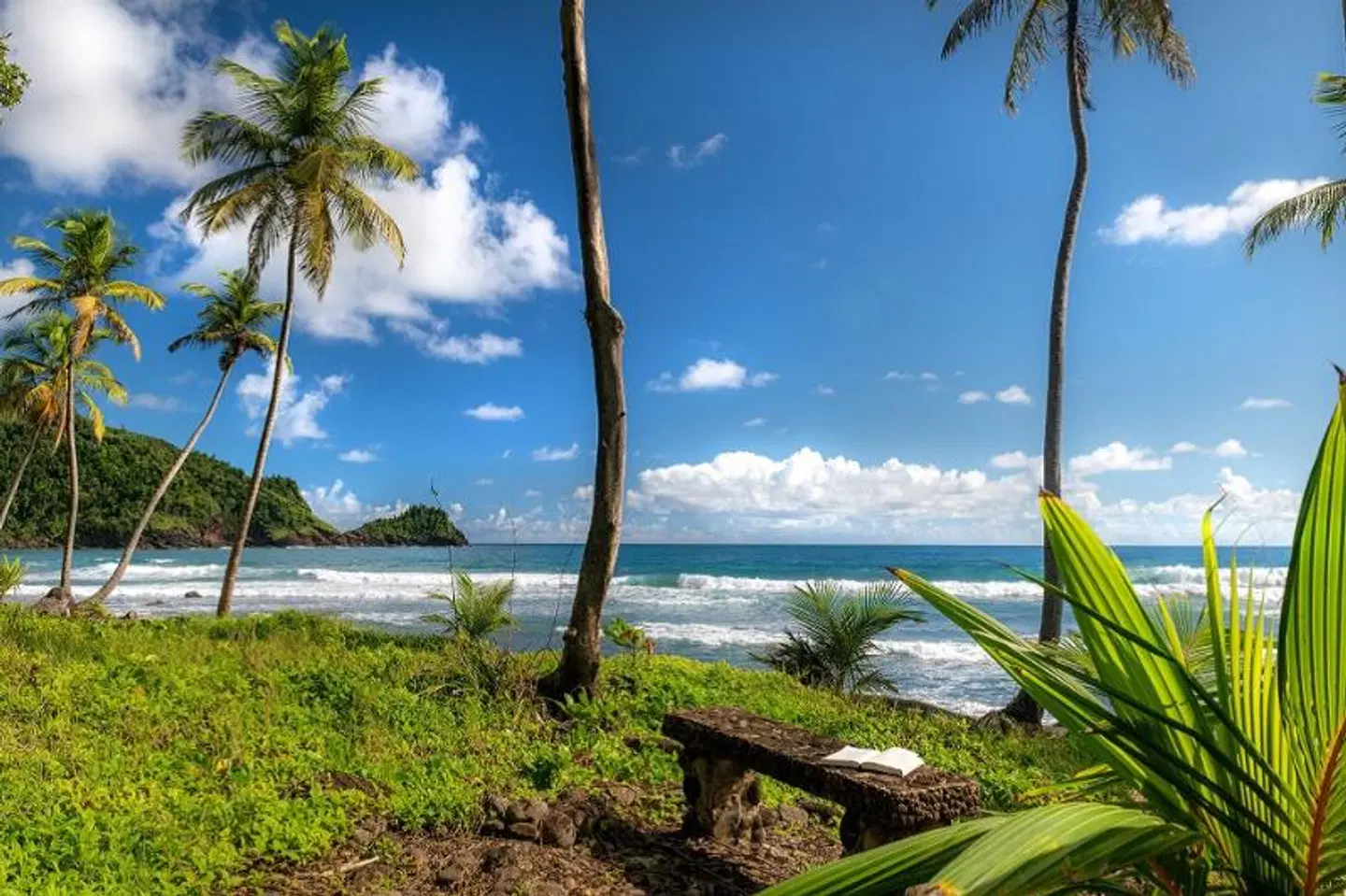 Rosalie Bay Eco Resort & Spa Garten