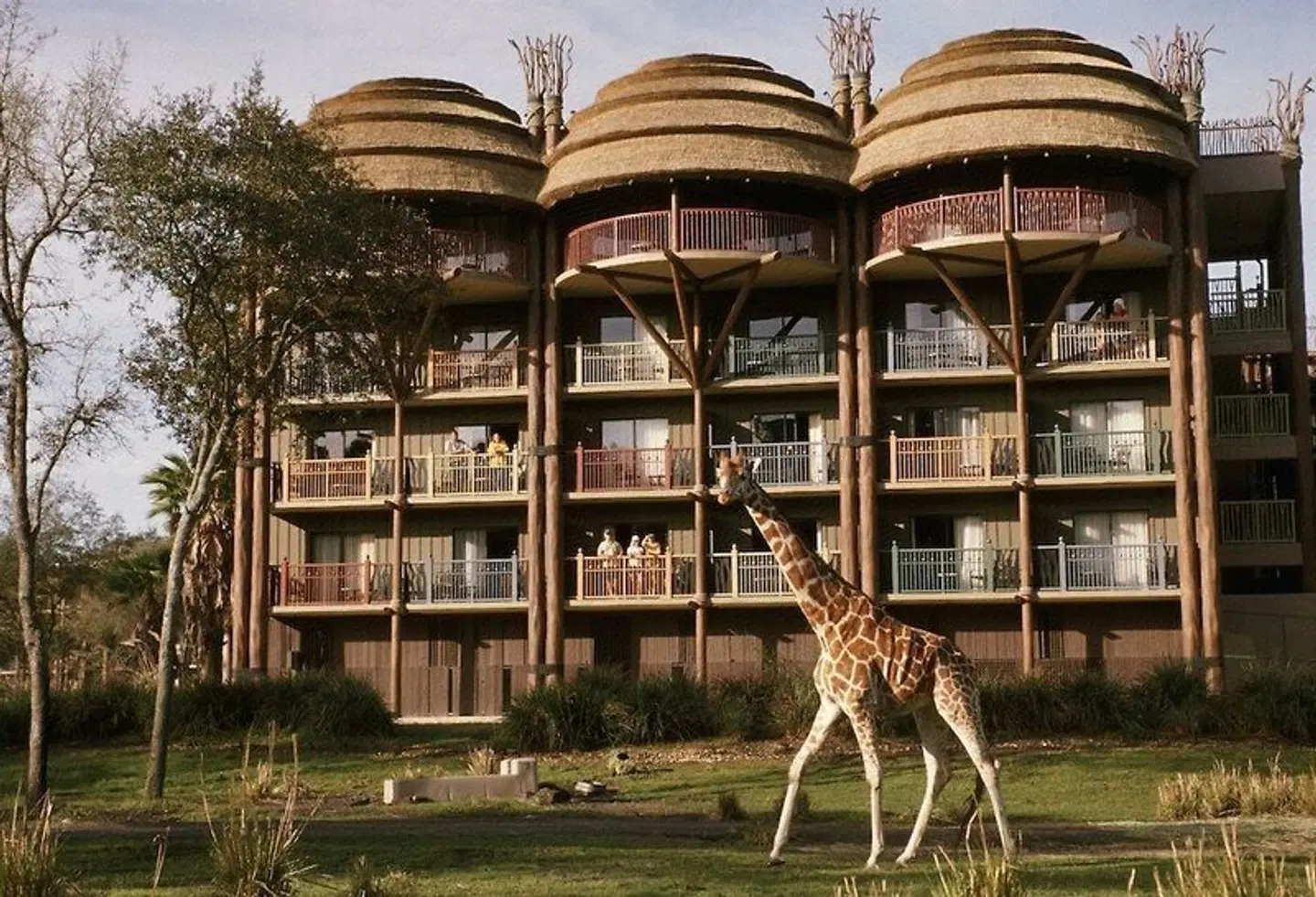 Disney's Animal Kingdom Villas - Jambo House EXTERIOR
