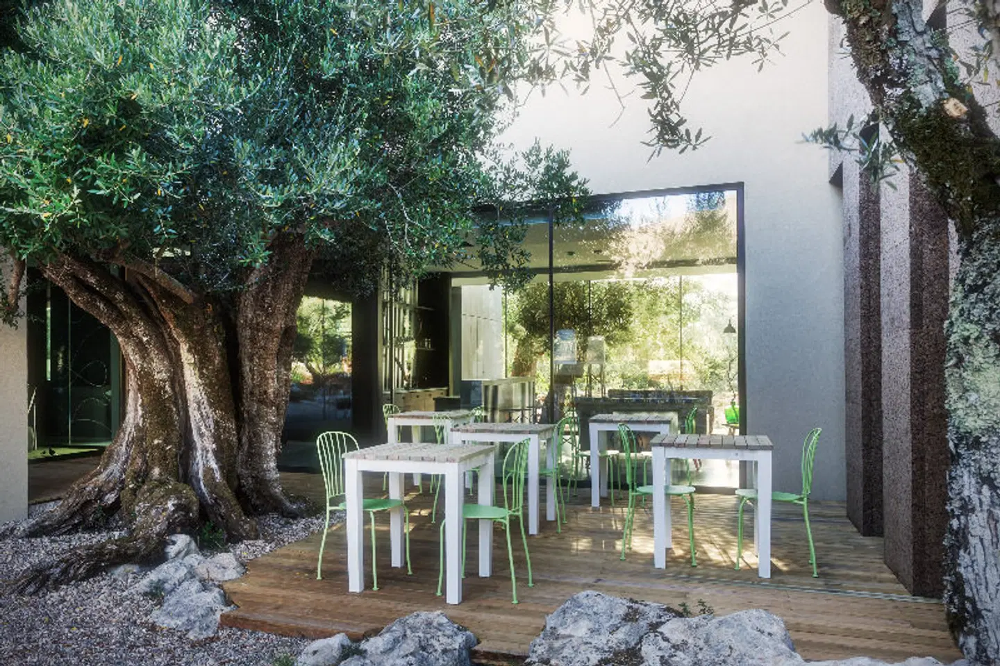 Cooking and Nature - Emotional Hotel Terrasse