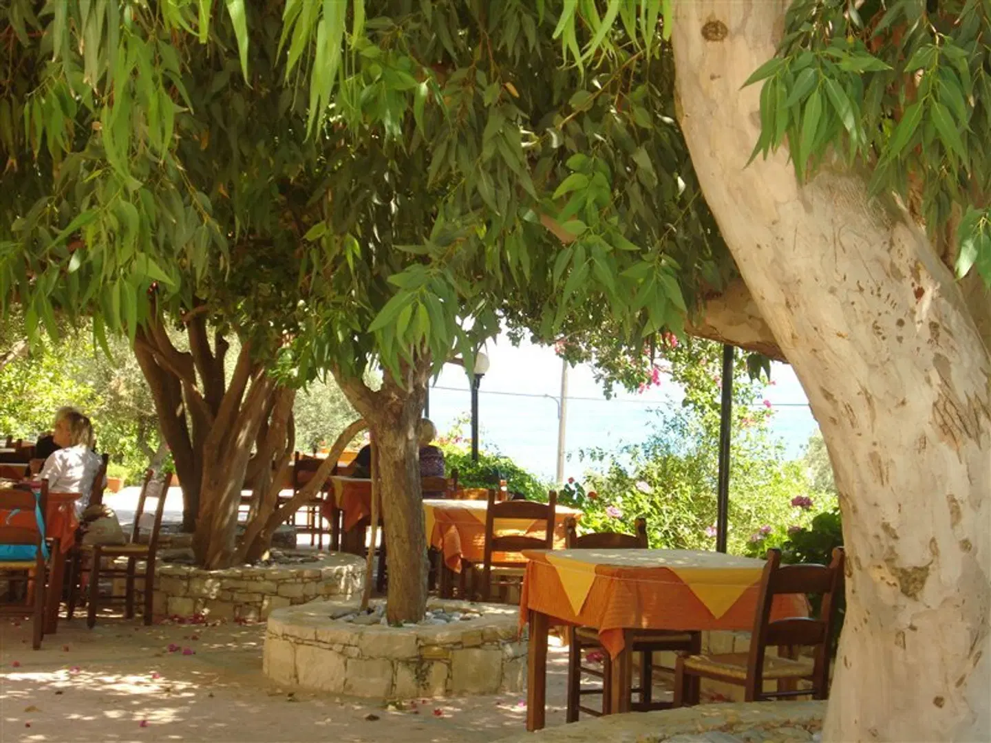 Polyrizos Hotel Terrasse