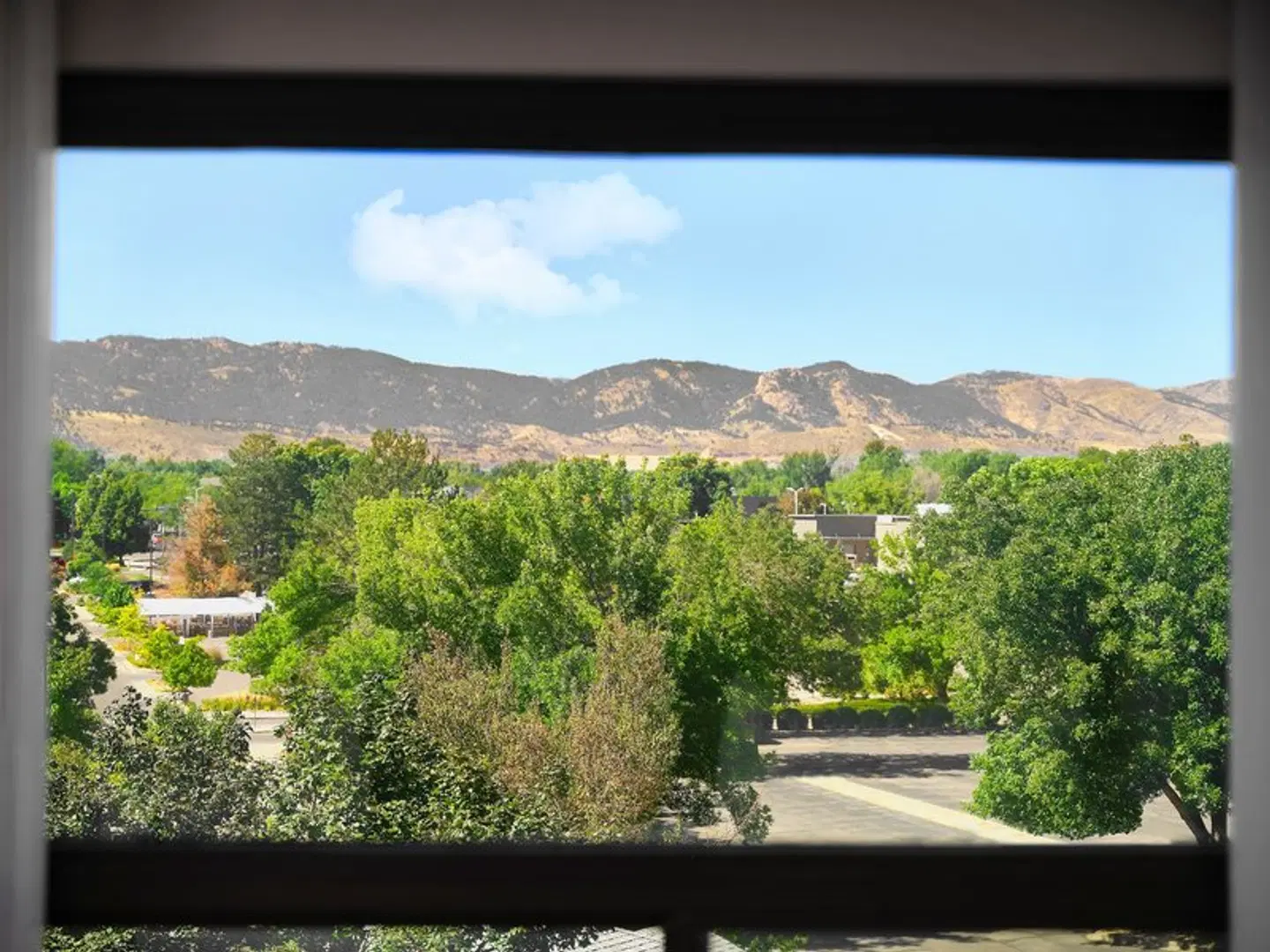 Fort Collins Marriott LANDSCAPE