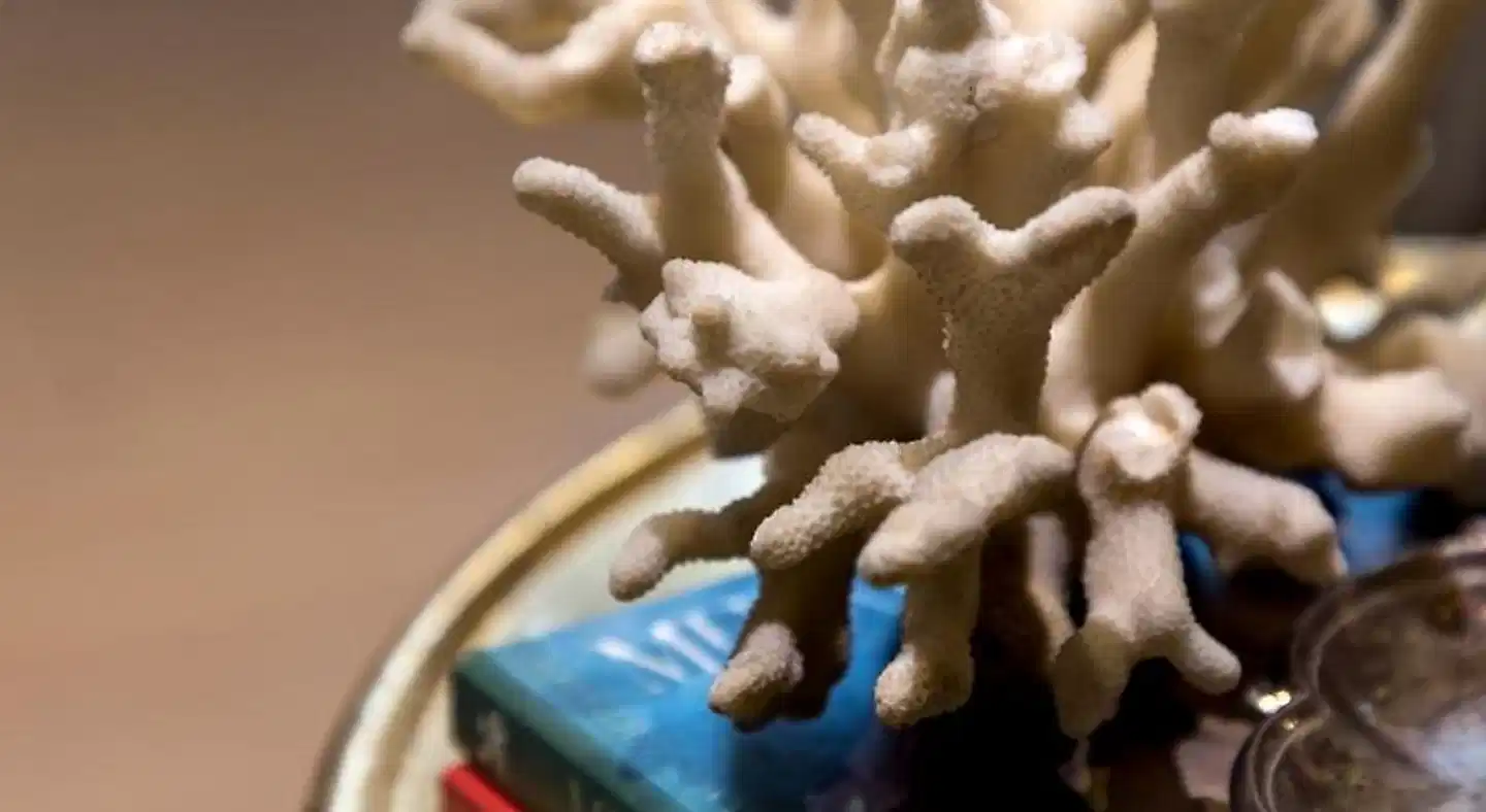 The Pinnacle Athens Wellness