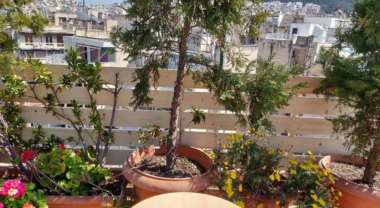 Exarchion Hotel Terrasse