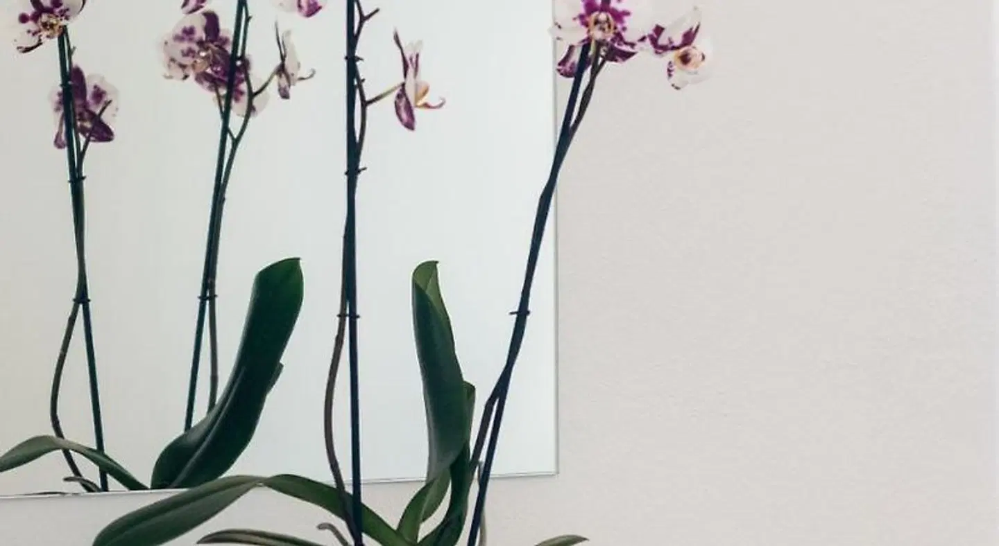 Keri Village & Spa by Zante Plaza SPORTS_AND_LEISURE