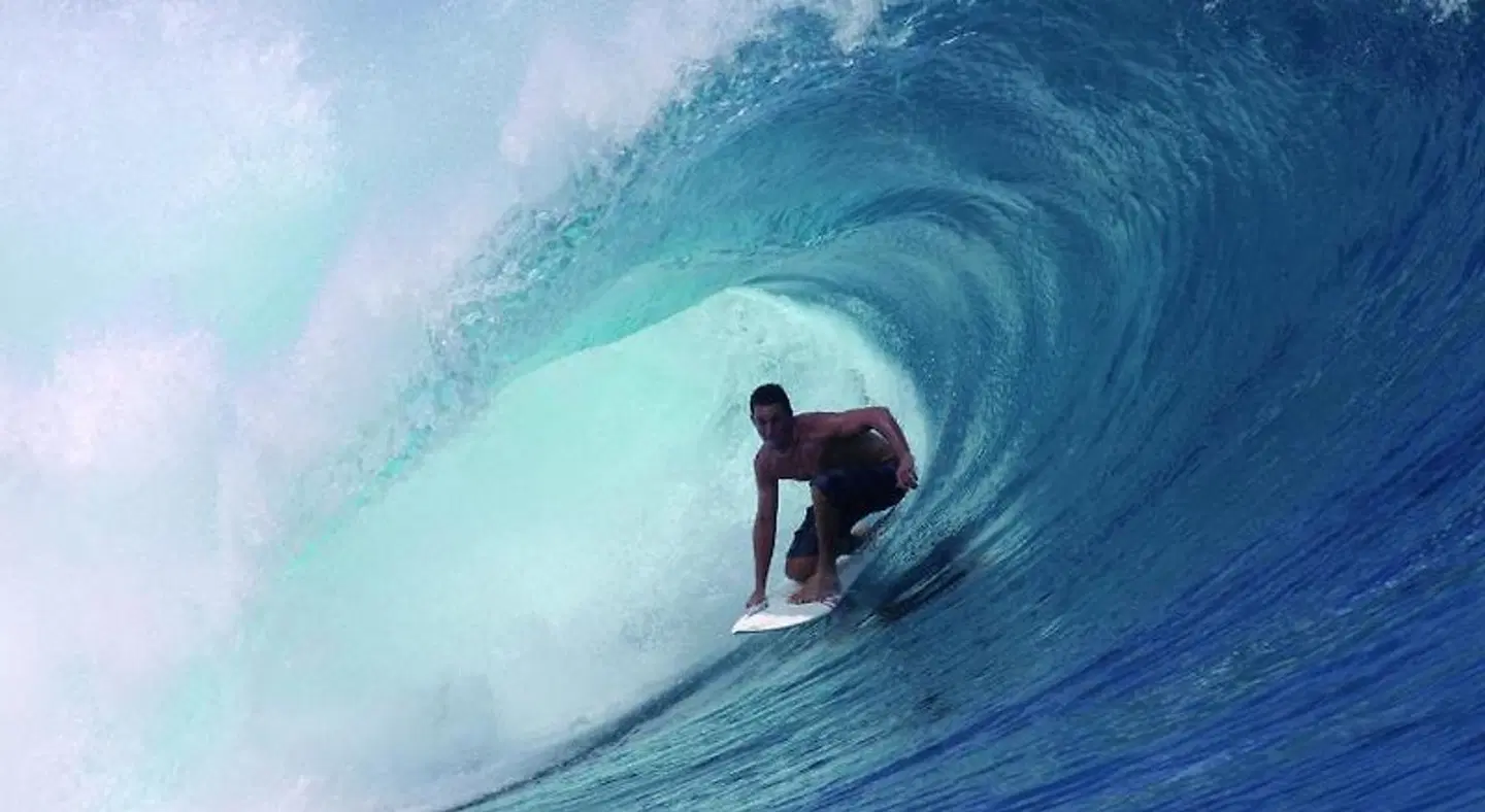 Villa Doris Suites Tiere