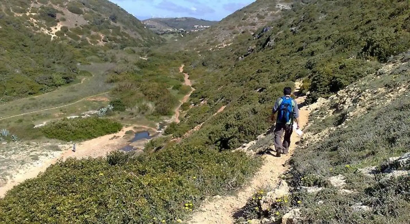 Villa Doris Suites LANDSCAPE