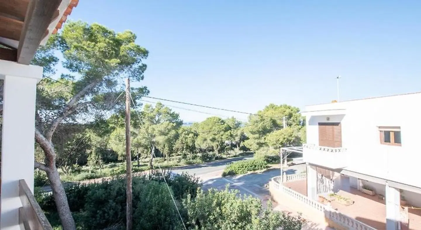 Bosc y Sol EXTERIOR