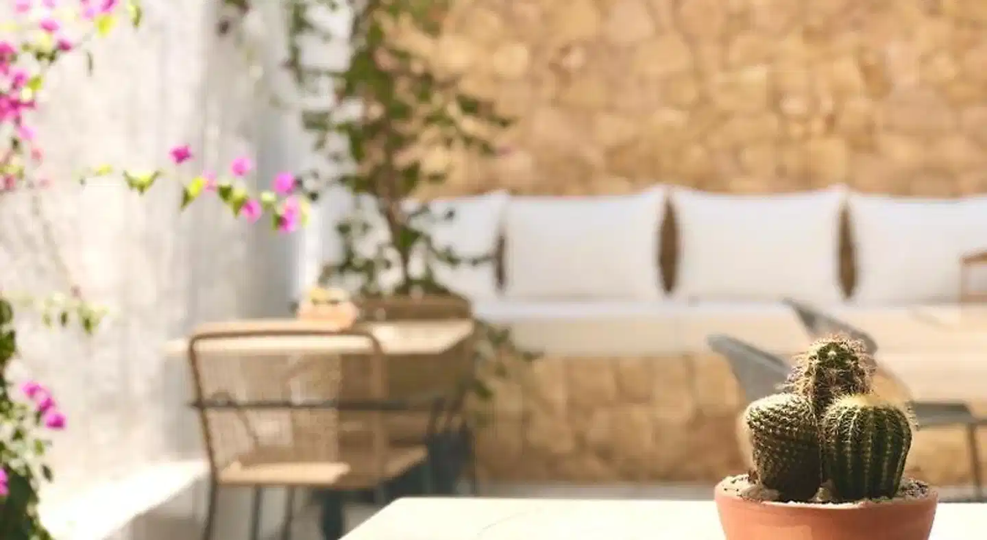 Abaco Altea Wellness