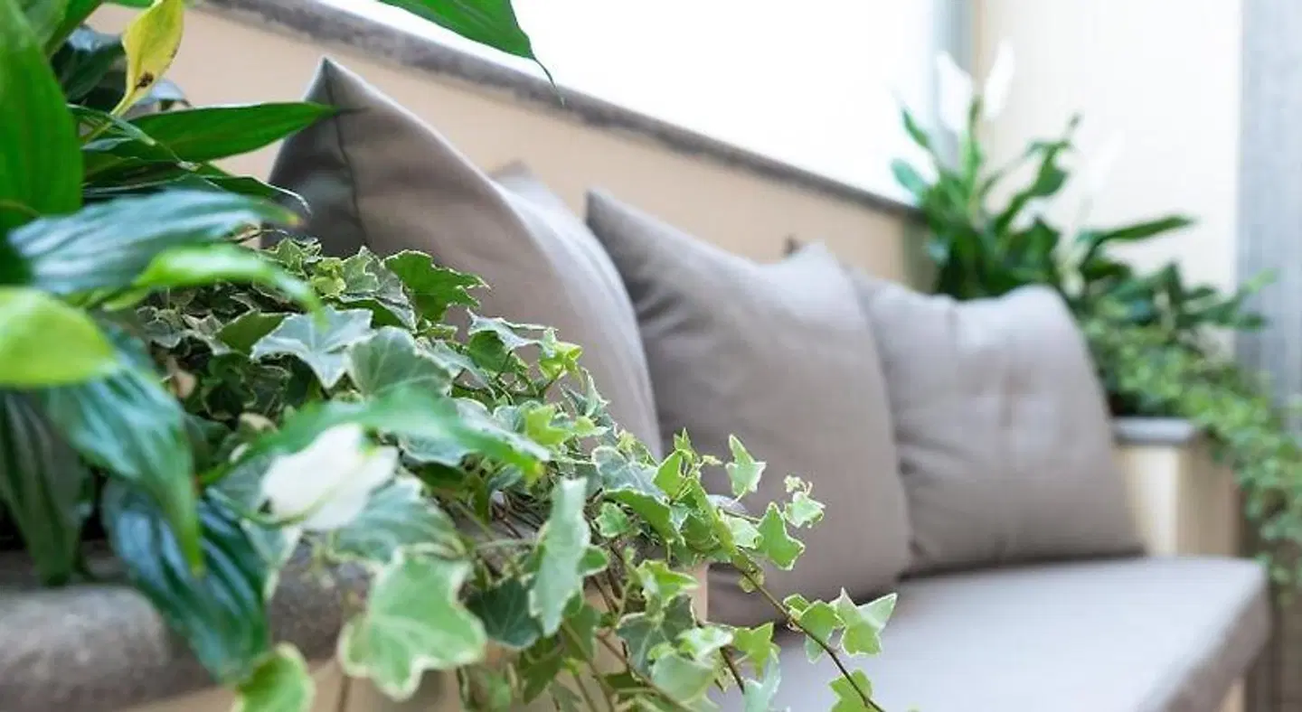 Hotel Silver LANDSCAPE