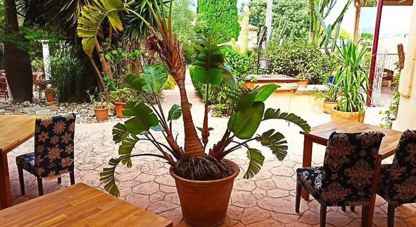 Palacio Sant Salvador Terrasse