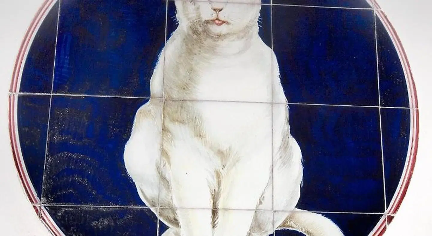 Albergo Gatto Bianco Tiere