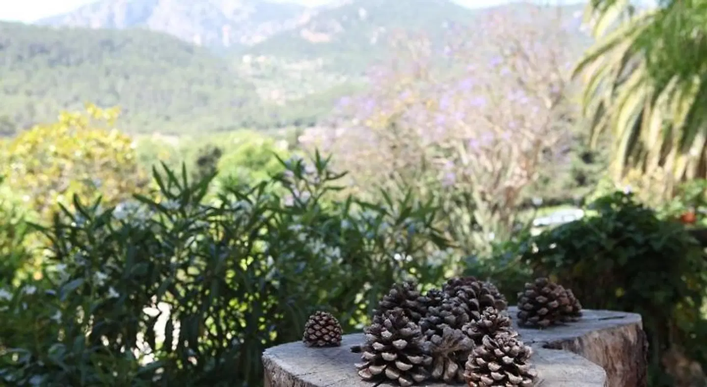 Finca Agroturismo Son Galceran Garten