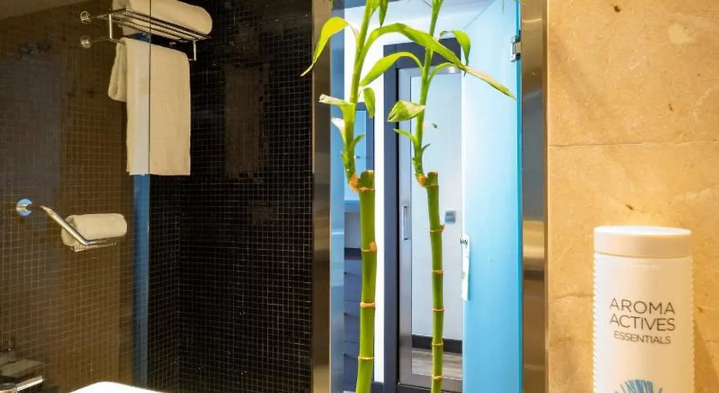 Hotel Cádiz Paseo del Mar Affiliated by Meliá HEALTH_BEAUTY