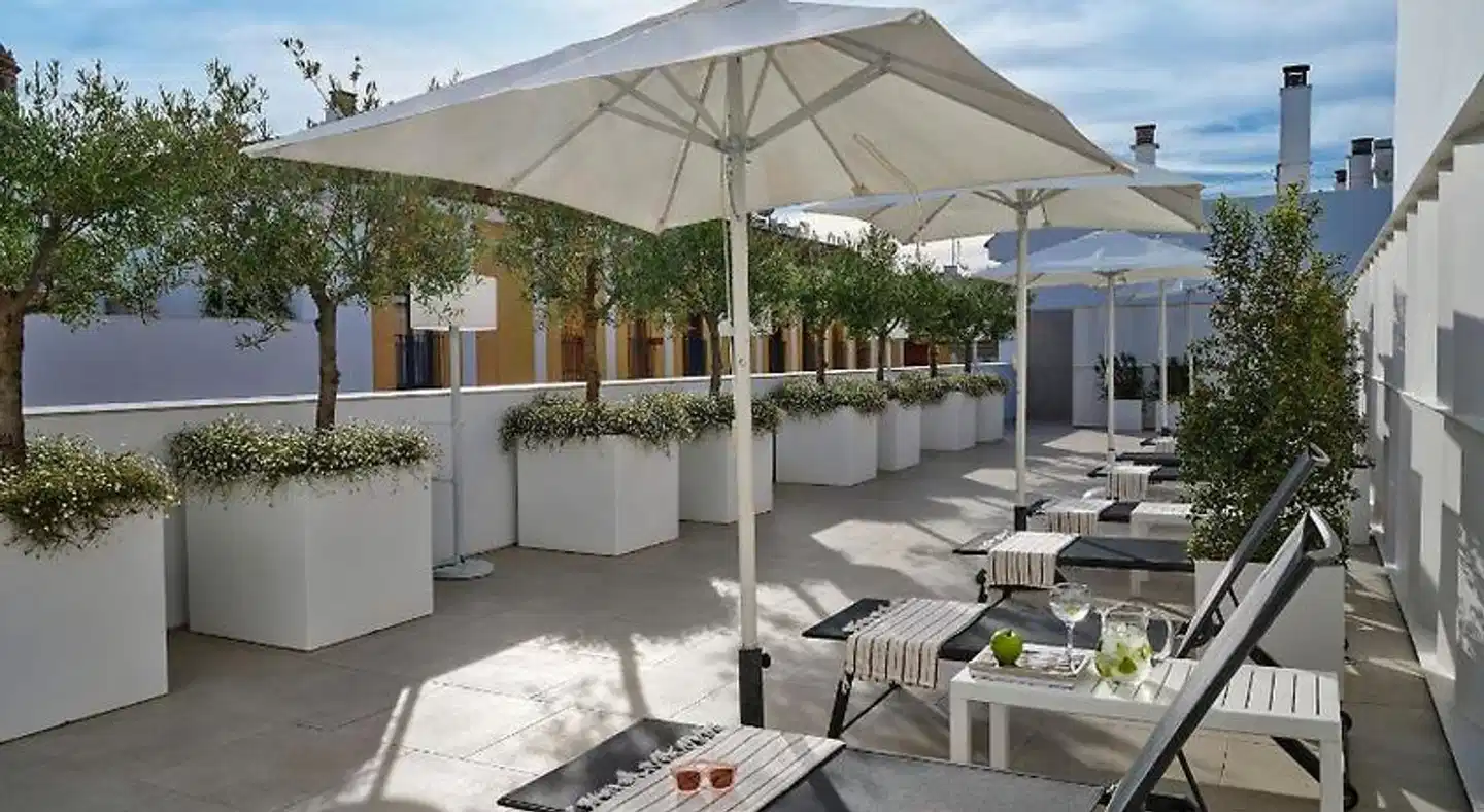 Rey Alfonso X Terrasse