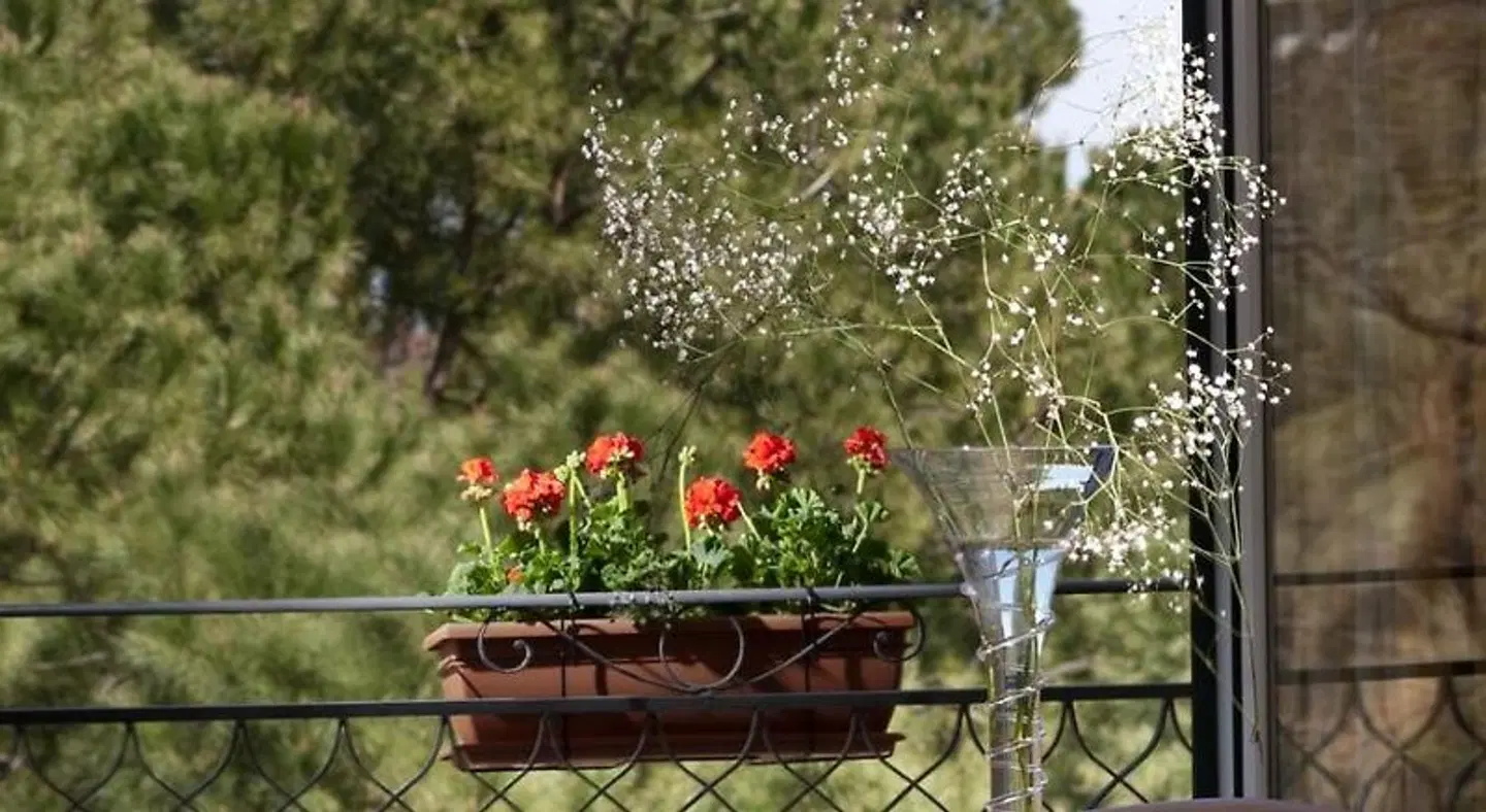 Giardino Inglese LANDSCAPE