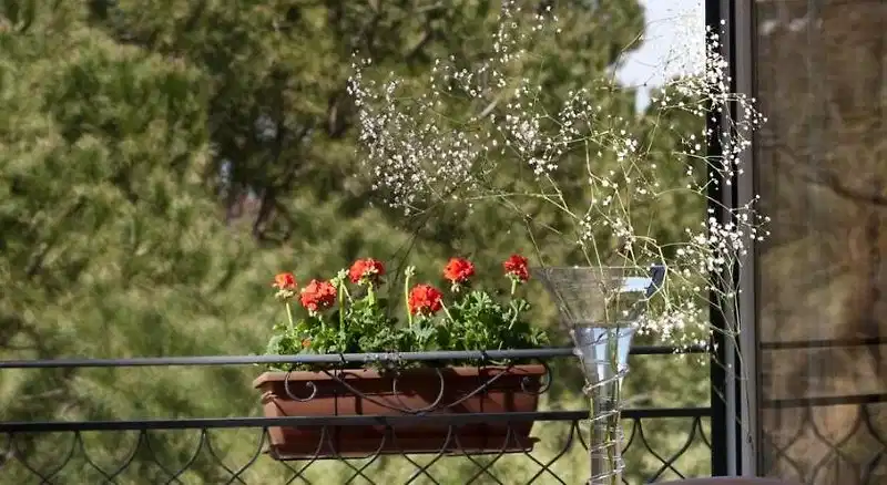 Giardino Inglese – Hotelfoto