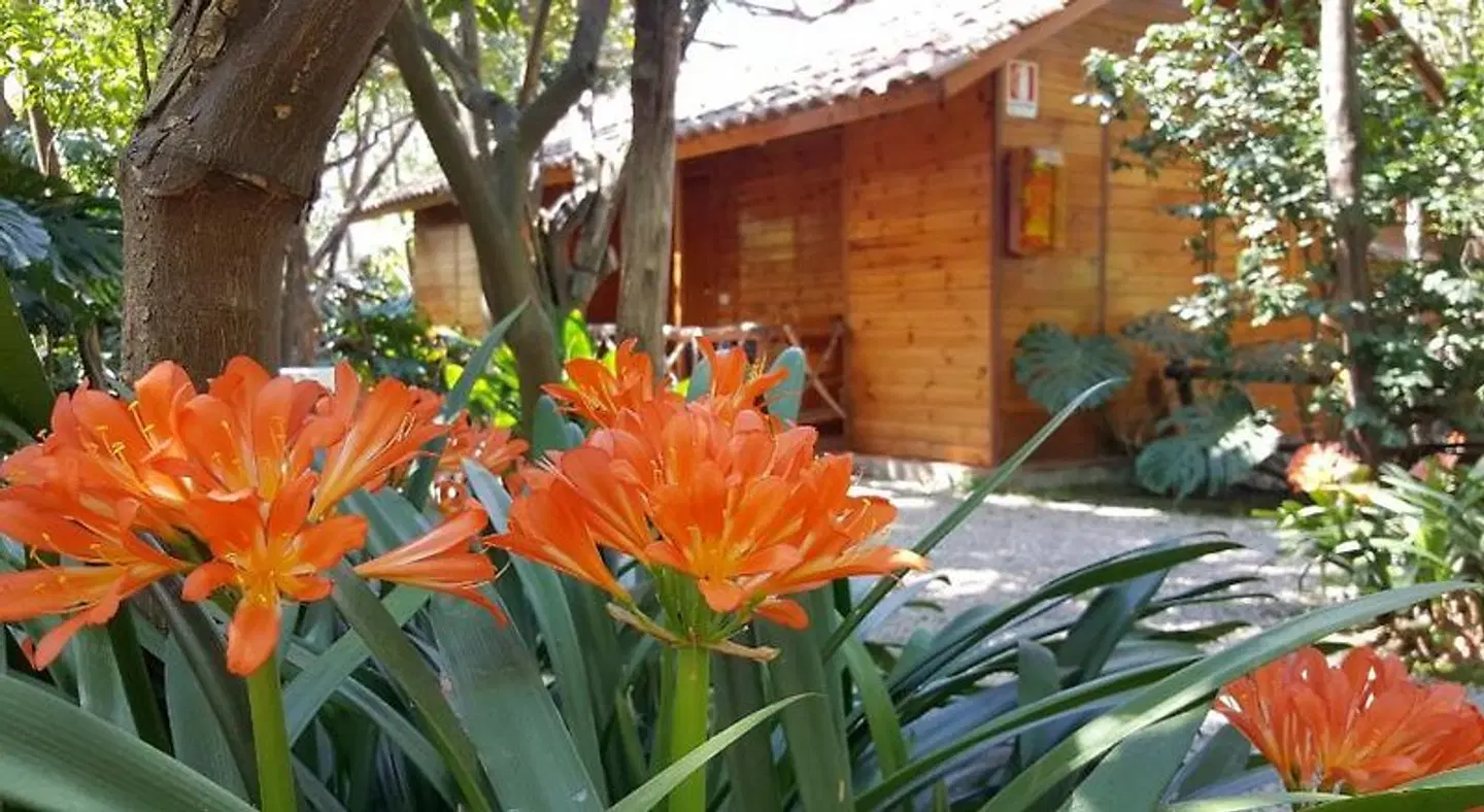 Residence Villaggio Verde Restaurant