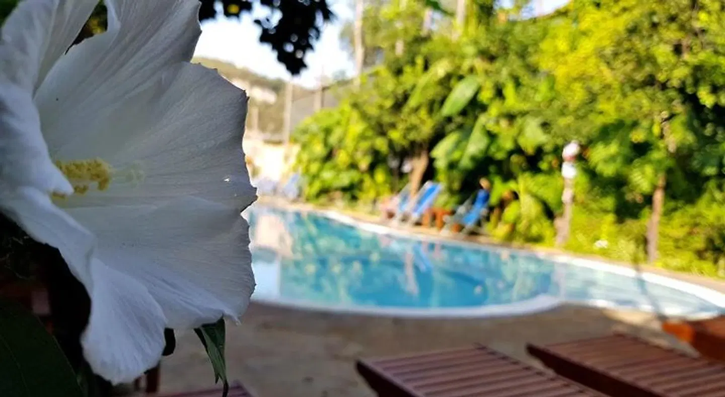 Residence Villaggio Verde OUTDOOR_POOL