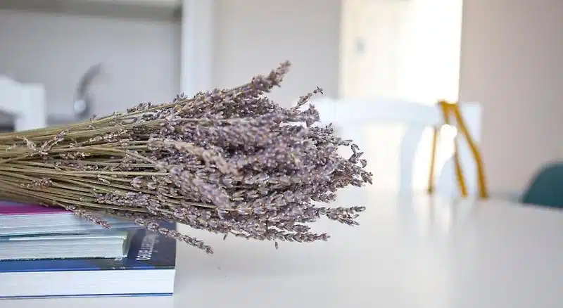 Apartamentos Europa – Hotelfoto