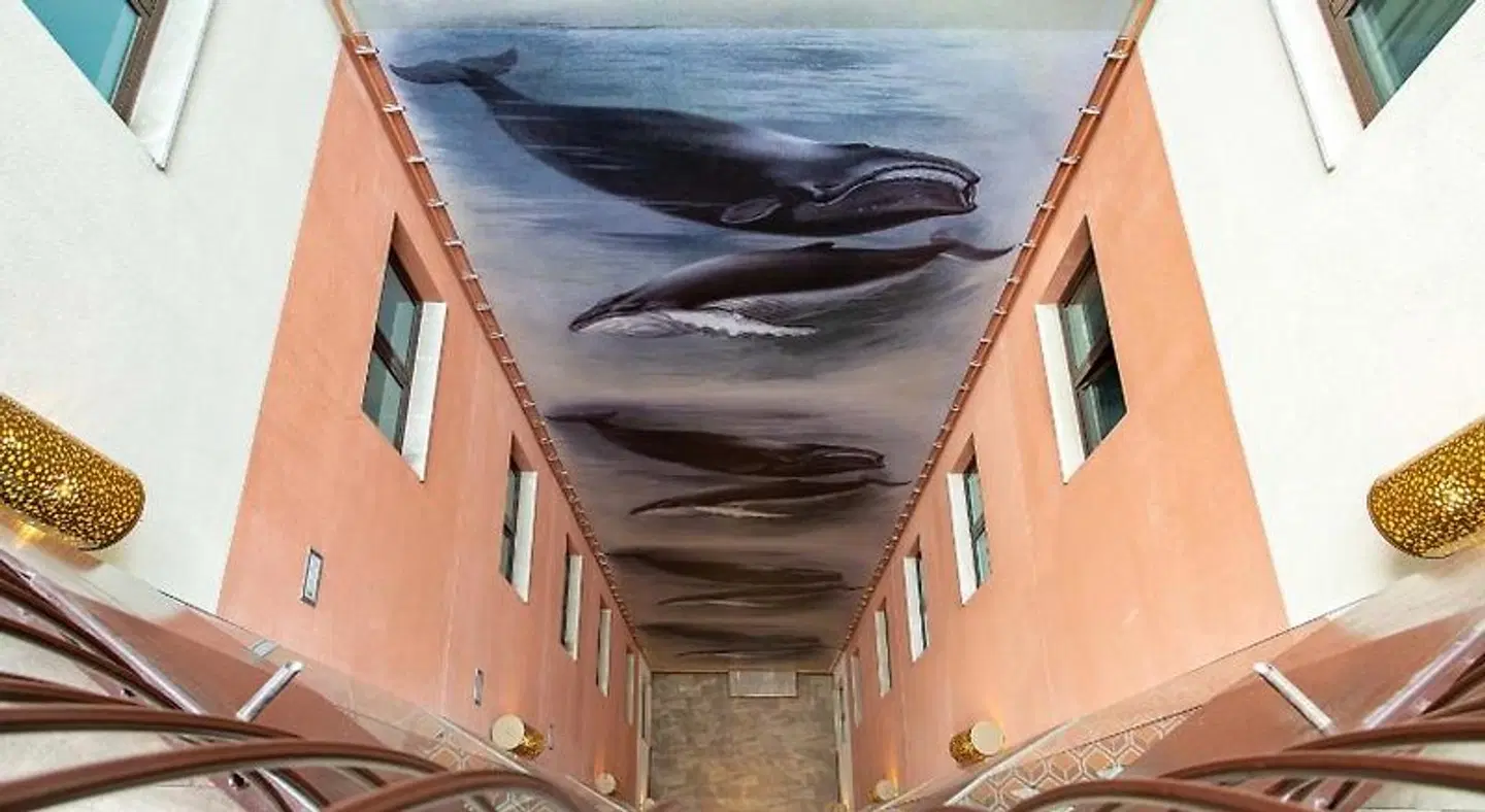 Room Mate Anna EXTERIOR