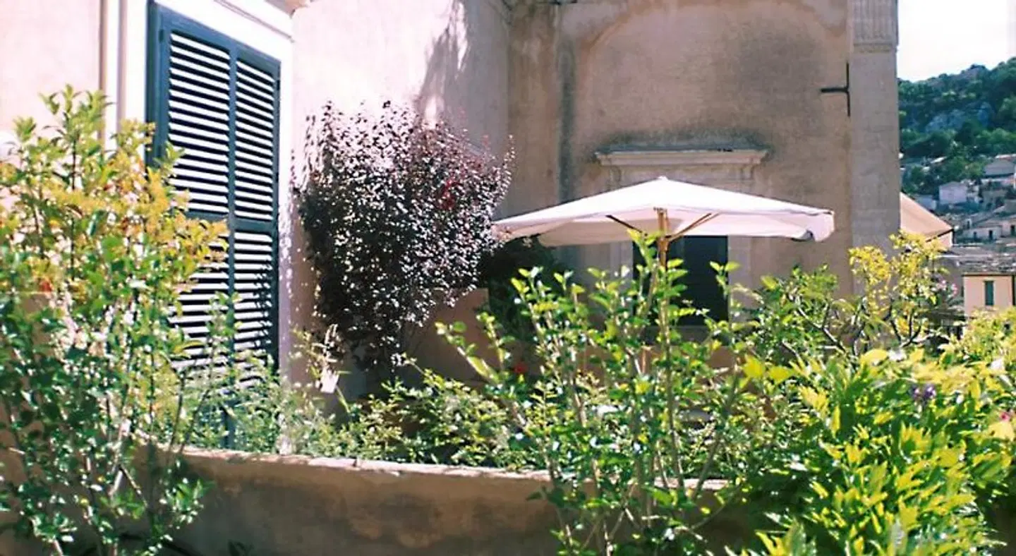 L'Orangerie Tiere