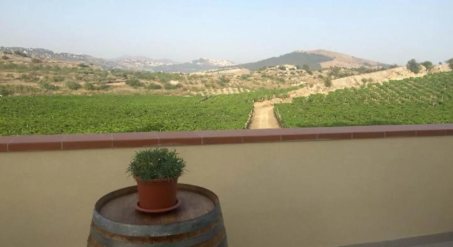 Agriturismo La Casa di Bacco Terrasse