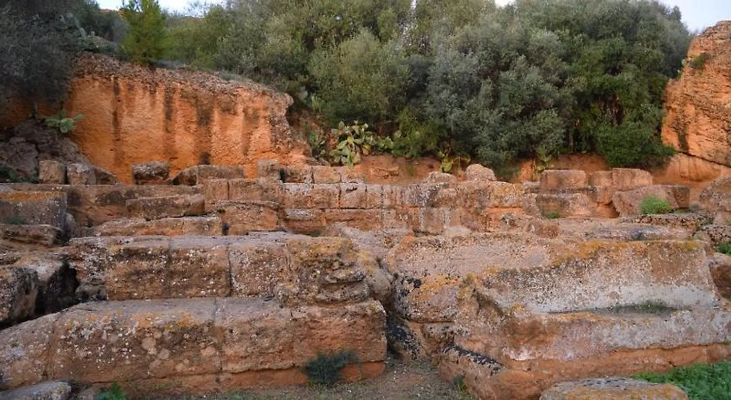 B&B Kolymbetra LANDSCAPE