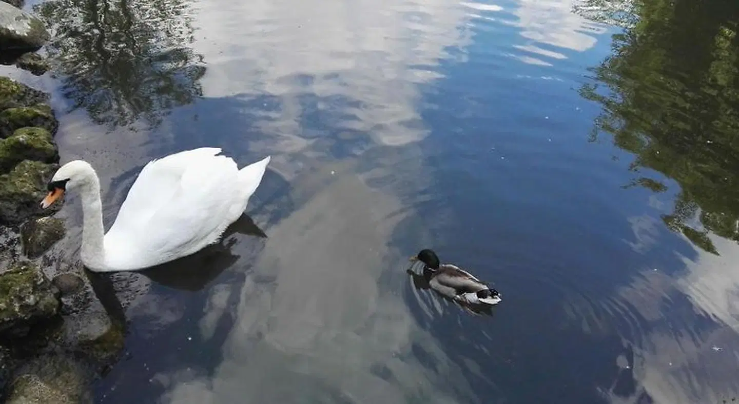 Sicily Country House & Beach SPORTS_AND_LEISURE