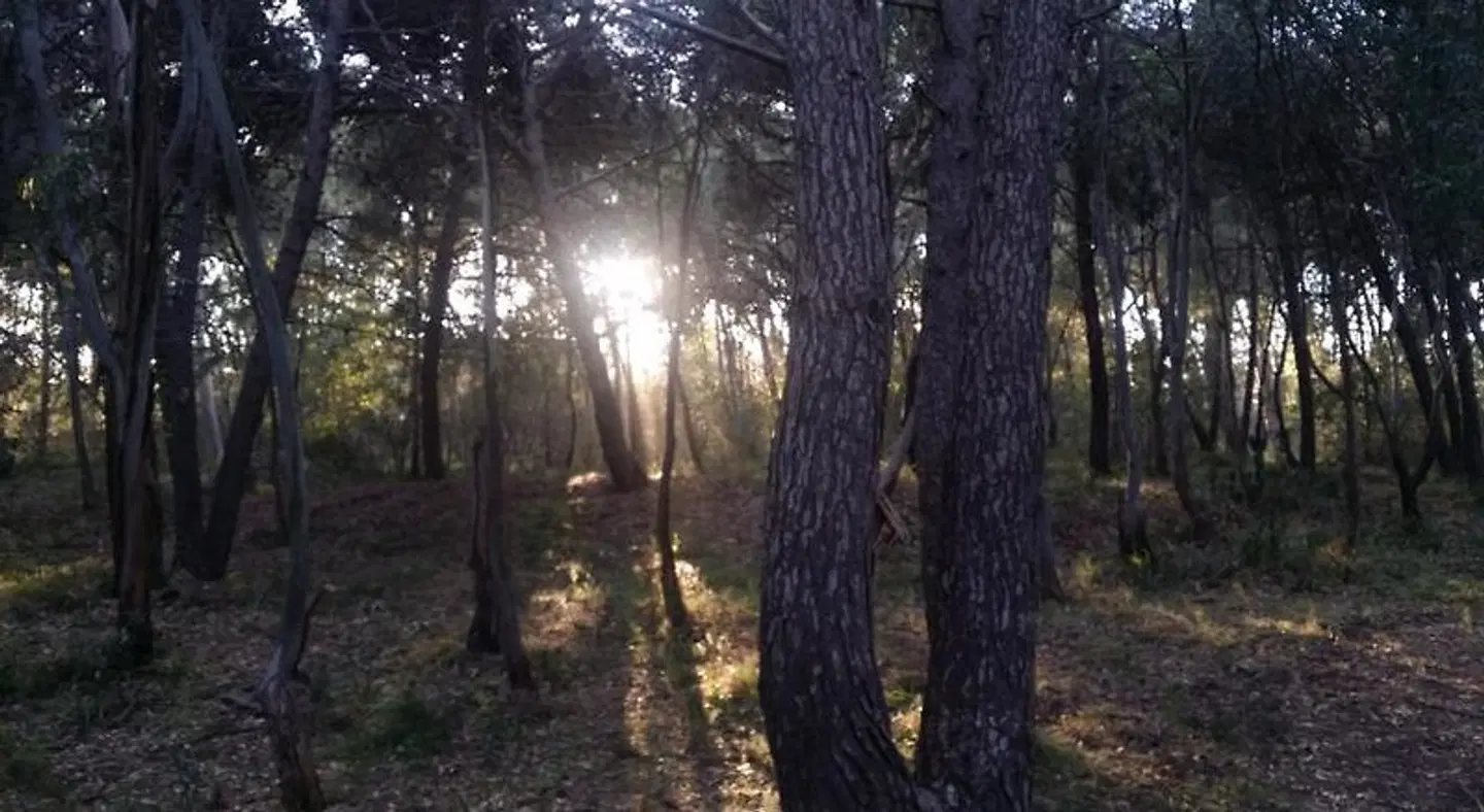 Sicily Country House & Beach LANDSCAPE