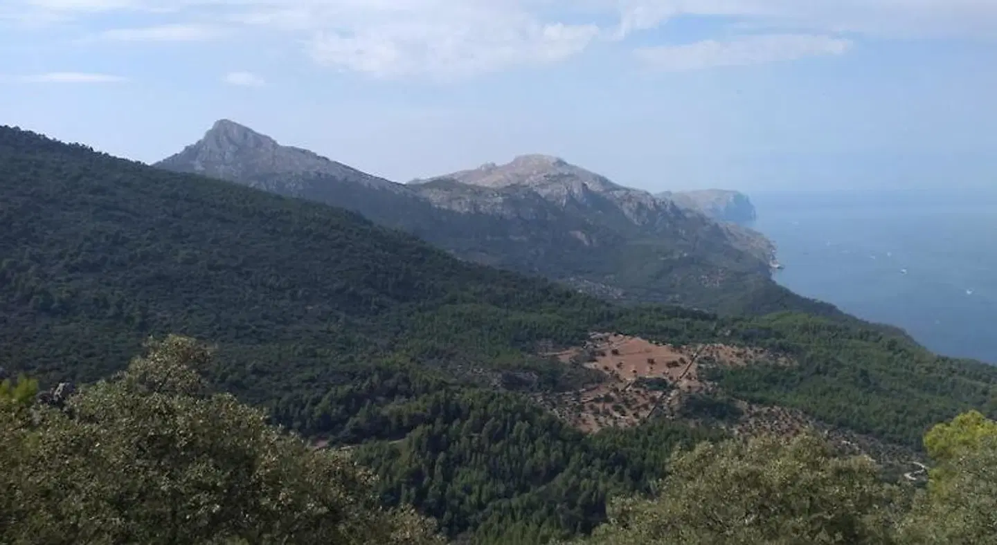 Sa Plana Petit Hotel LANDSCAPE