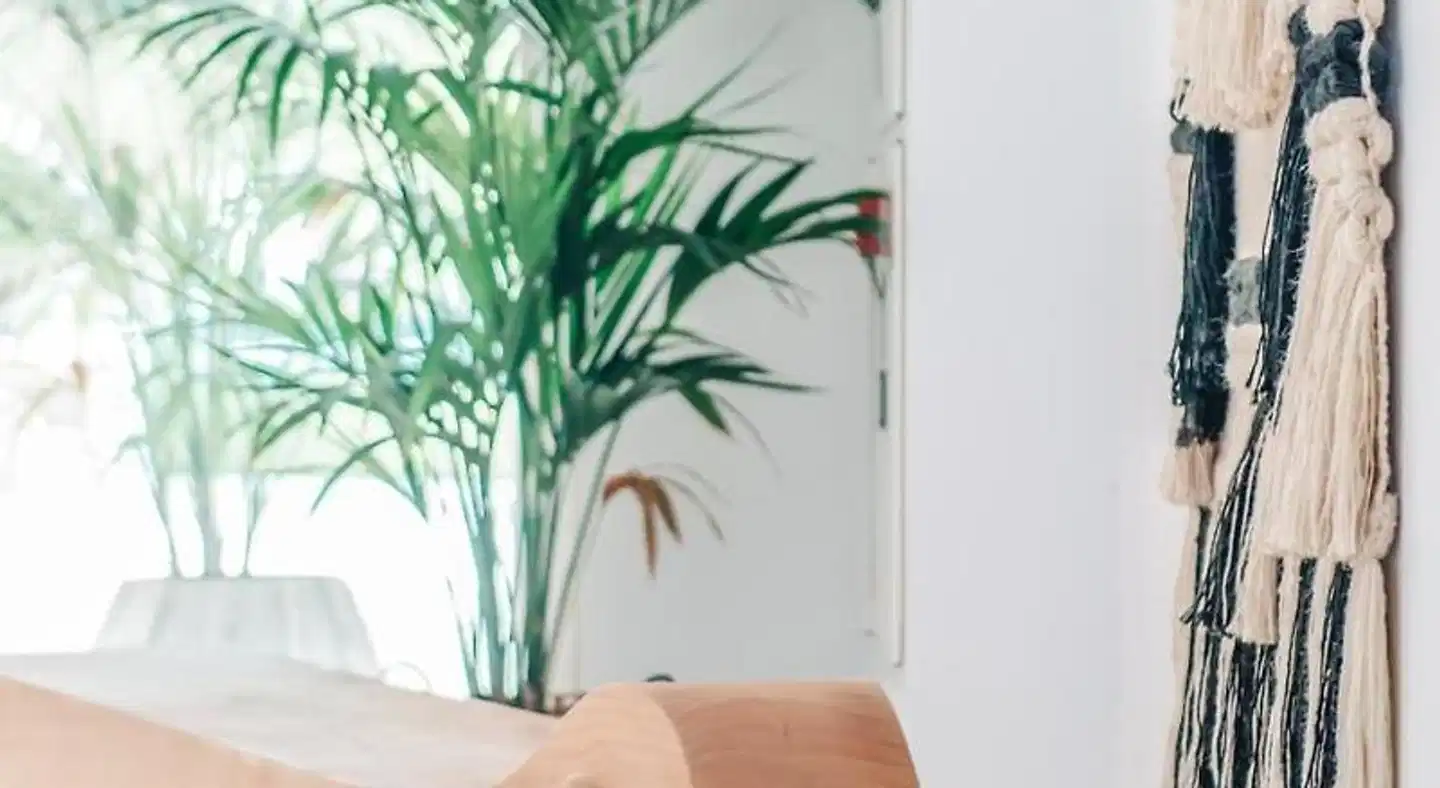 Las Mimosas Boutique & Spa Wellness