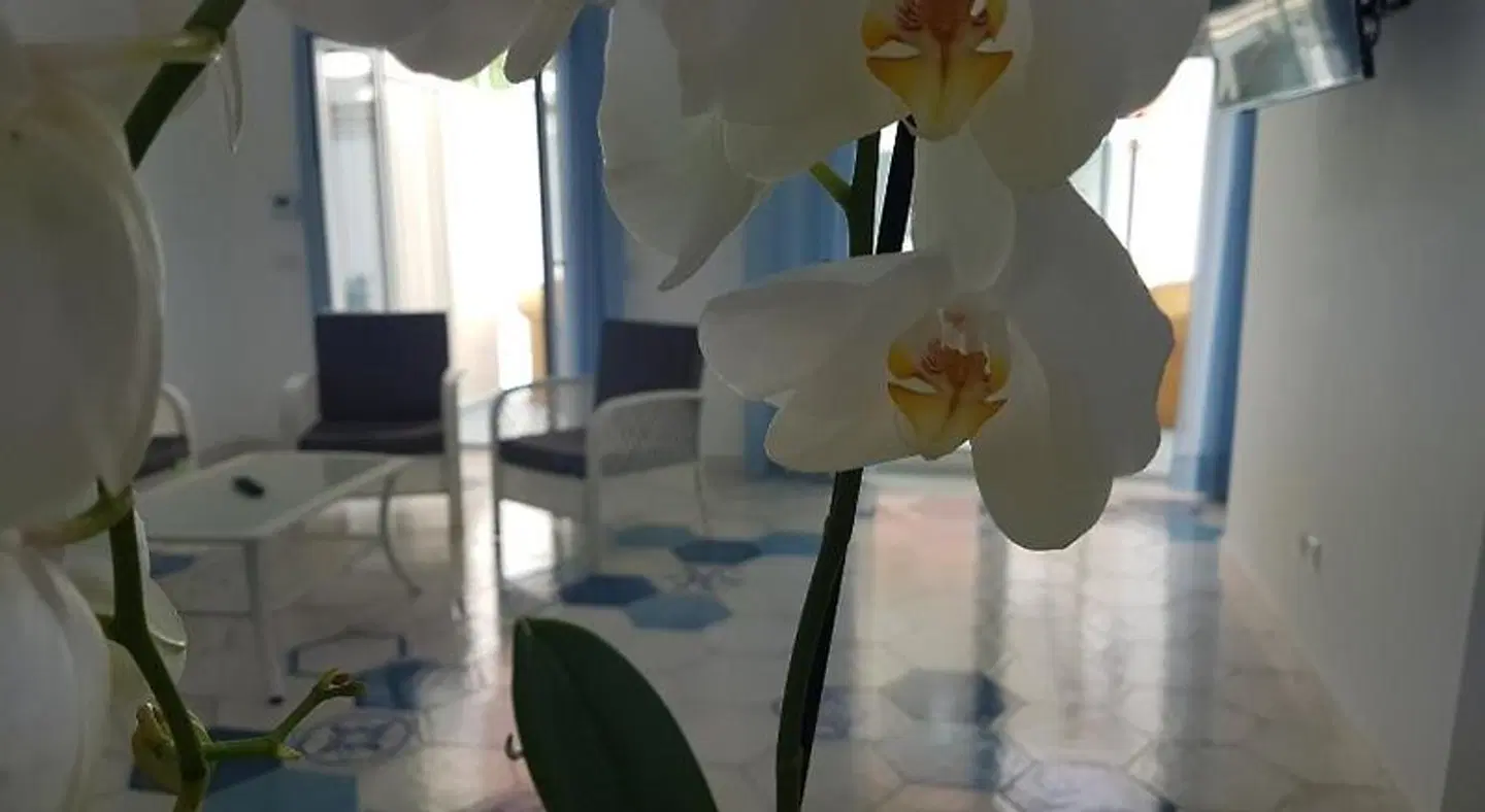 I Colori del Mare LOUNGE_LOBBY