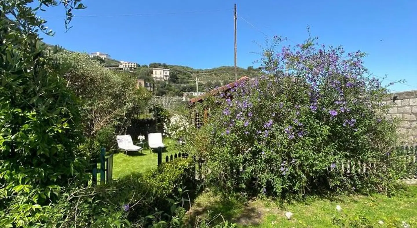Chalet Lidia LANDSCAPE