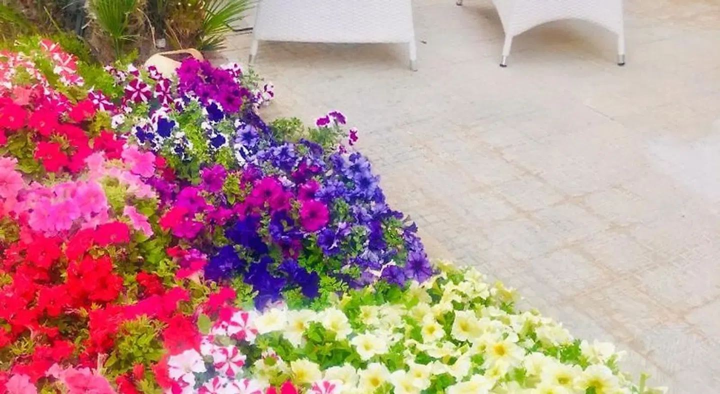 Araba Fenice Hotel Garten