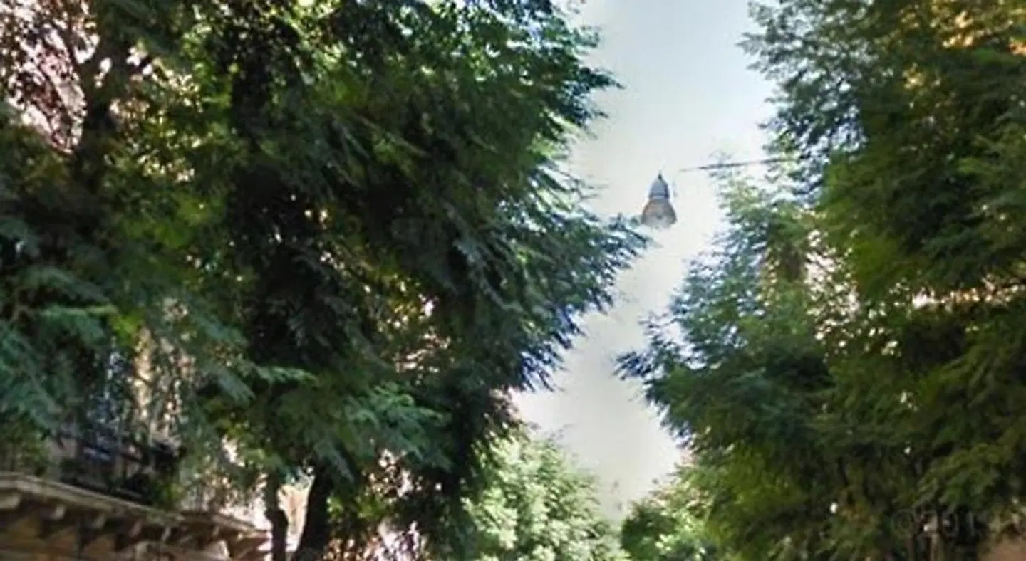 Palermo Web House LANDSCAPE