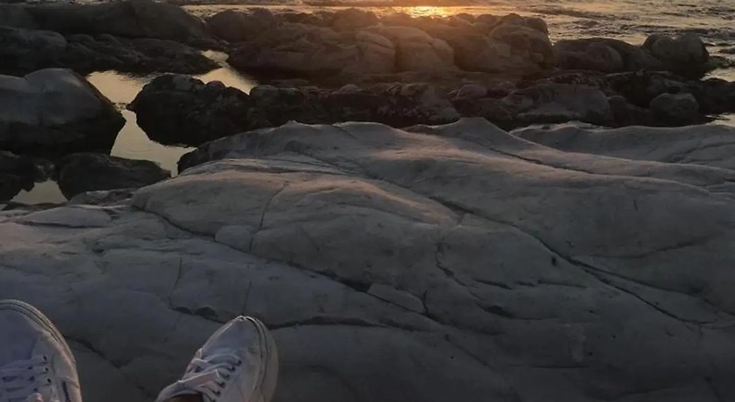 Corte della jbsa LANDSCAPE